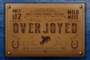 Overjoyed Display Font Brings Cowboy‑Inspired Charm to Small Brands