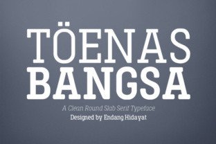 Toenas Bangsa: A Clean Rounded Slab Serif Font for Branding